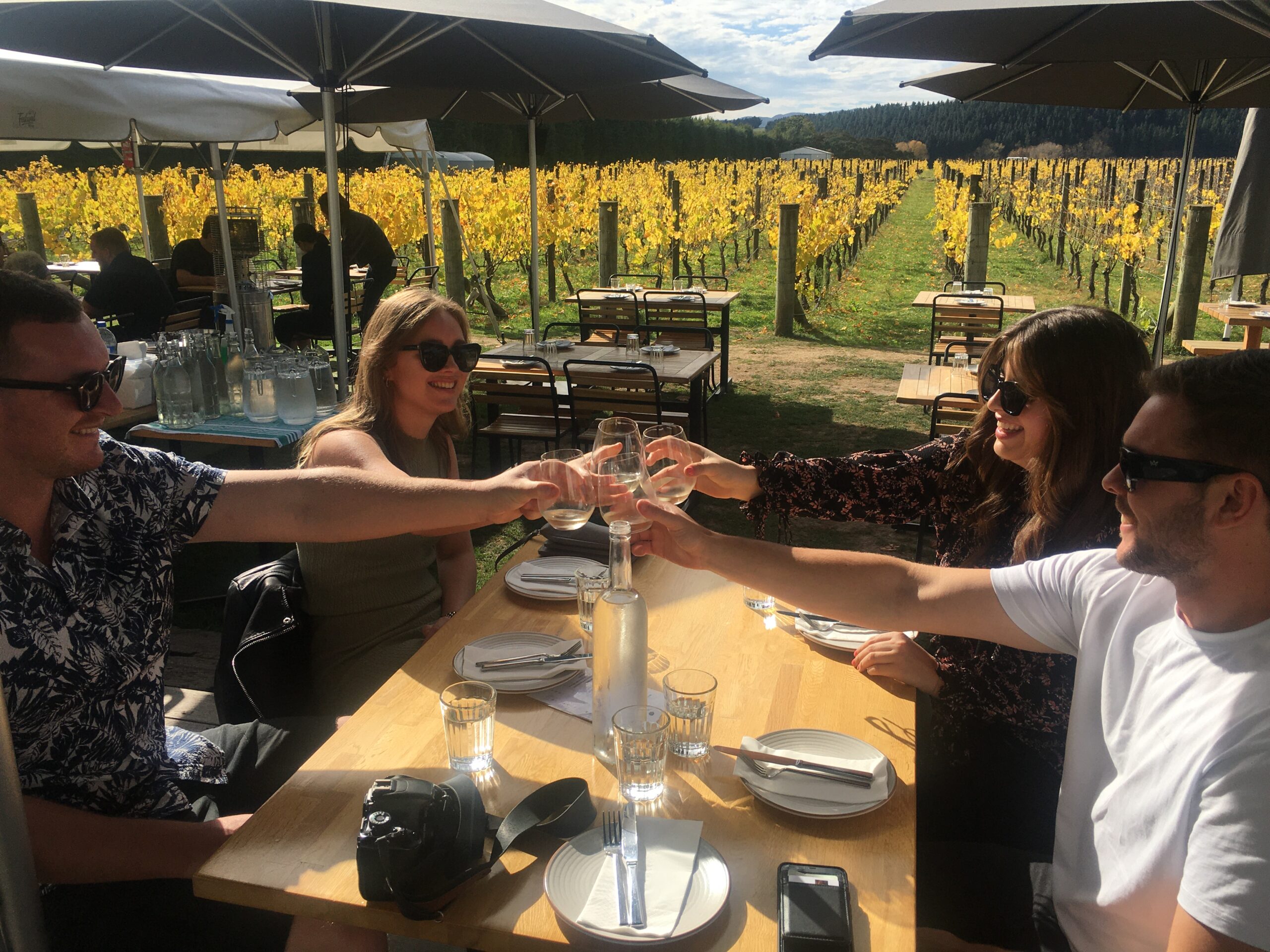 Cheers! Lunch and tastings at Moy Hall Wines