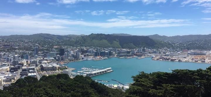 Wellington city look out from Mt Victoria