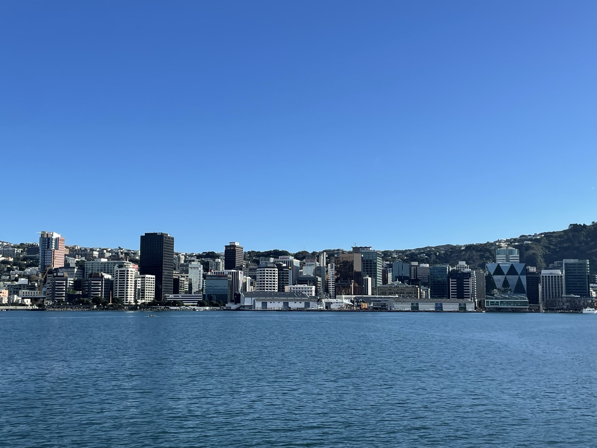 Wellington city skyline